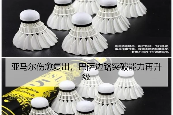 ya-ma-er-shang-yu-fu-chu-ba-sa-bian-lu-tu-po-neng-li-zai-sheng-ji-1-347.jpg