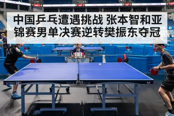 中国乒乓遭遇挑战 张本智和亚锦赛男单决赛逆转樊振东夺冠