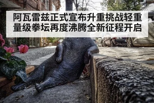 阿瓦雷兹正式宣布升重挑战轻重量级拳坛再度沸腾全新征程开启